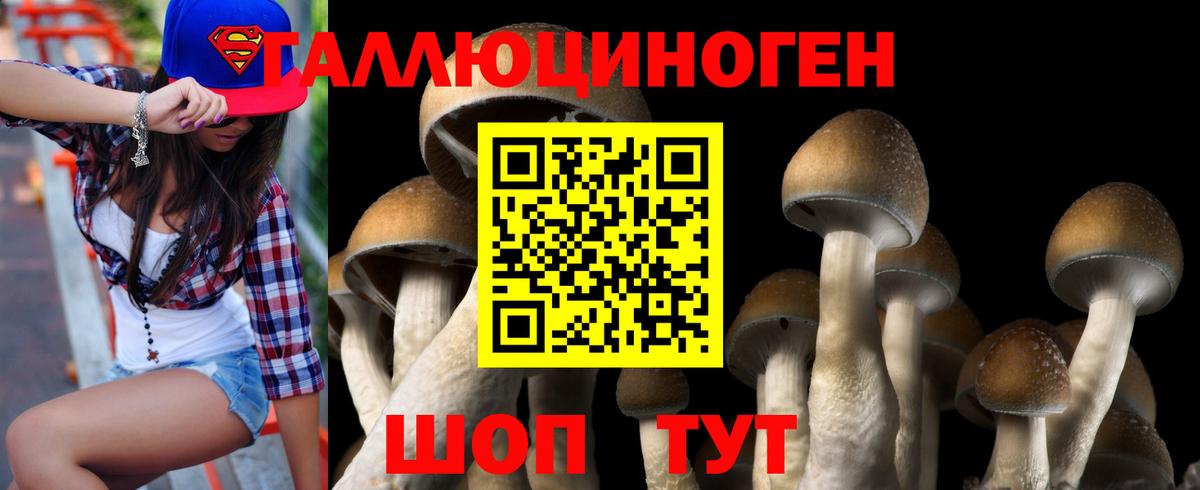 наркотики  Псилоцибиновые грибы Psilocybine cubensis  Вход с VPN  Янаул  Галлюциногенные грибы Cubensis 